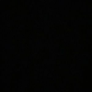 Meet your Posher, Ella